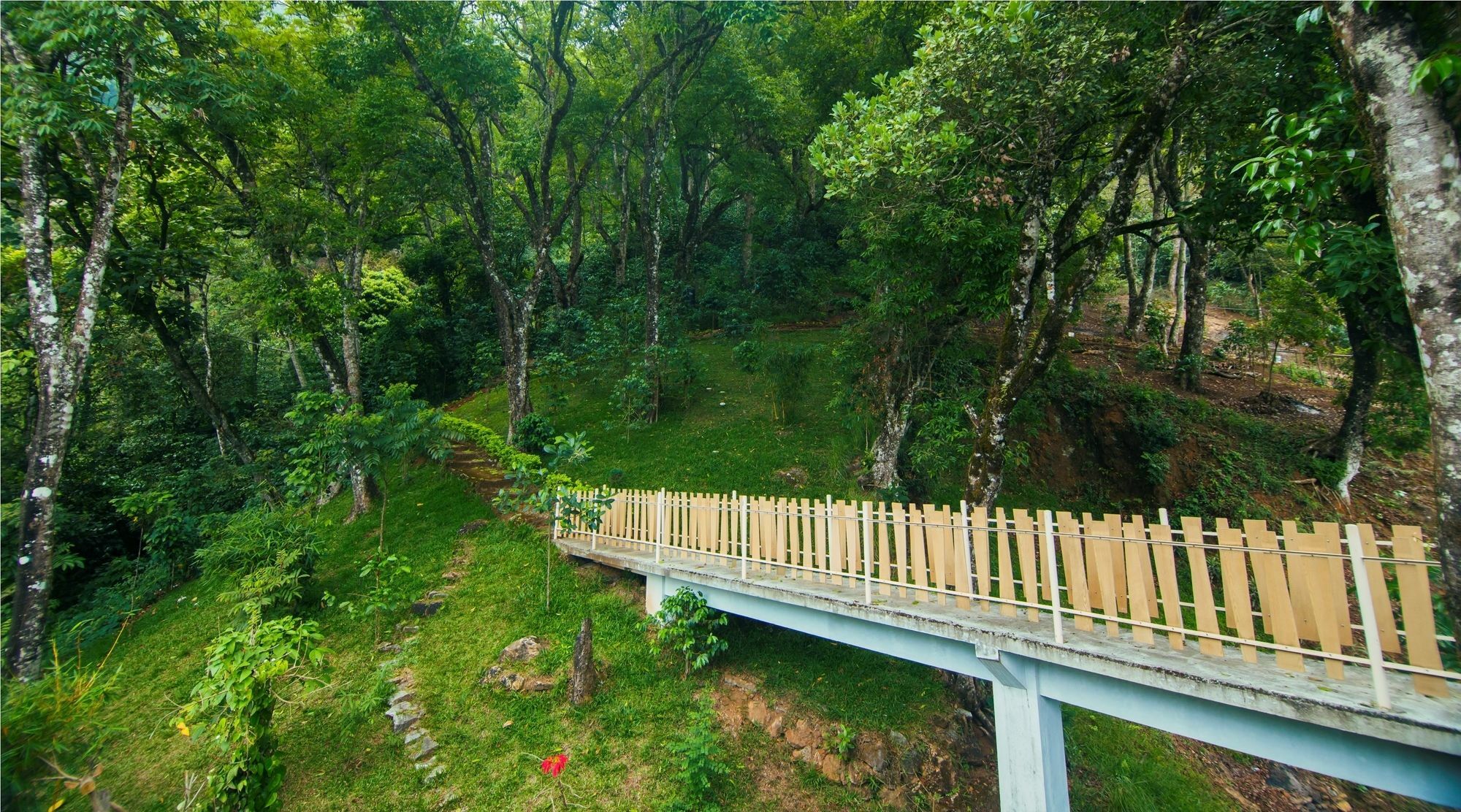 Forest Glade Resorts Chithirapuram Екстериор снимка
